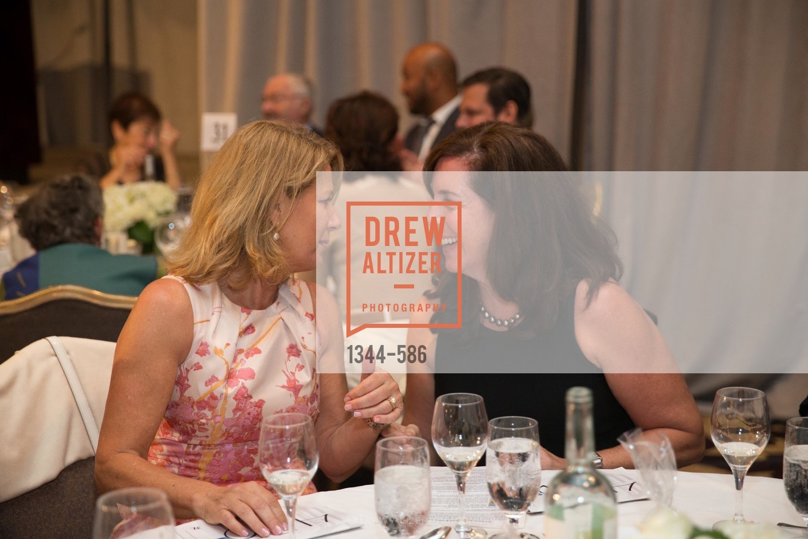 Extras, 2014 Bay Area ARTHRITIS AUXILLIARY Benefit & Fashion Show, October 2nd, 2014, Photo,Drew Altizer, Drew Altizer Photography, full-service agency, private events, San Francisco photographer, photographer california