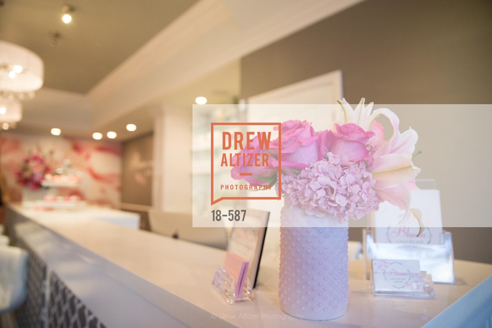 Atmosphere, BLOOM BLOW DRY BAR Grand Opening Party, US, October 2nd, 2014,Drew Altizer, Drew Altizer Photography, full-service agency, private events, San Francisco photographer, photographer california