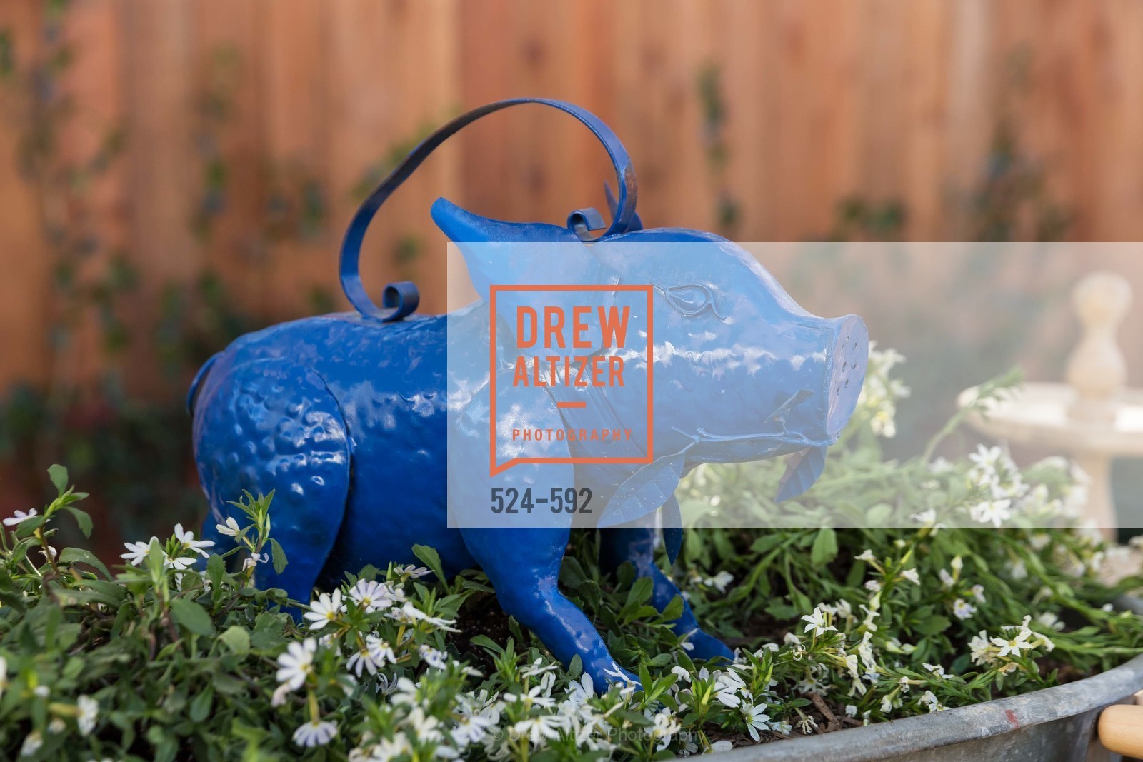 Atmosphere, WILLIAMS-SONOMA Cochon BBQ Celebration, US, October 3rd, 2014,Drew Altizer, Drew Altizer Photography, full-service event agency, private events, San Francisco photographer, photographer California