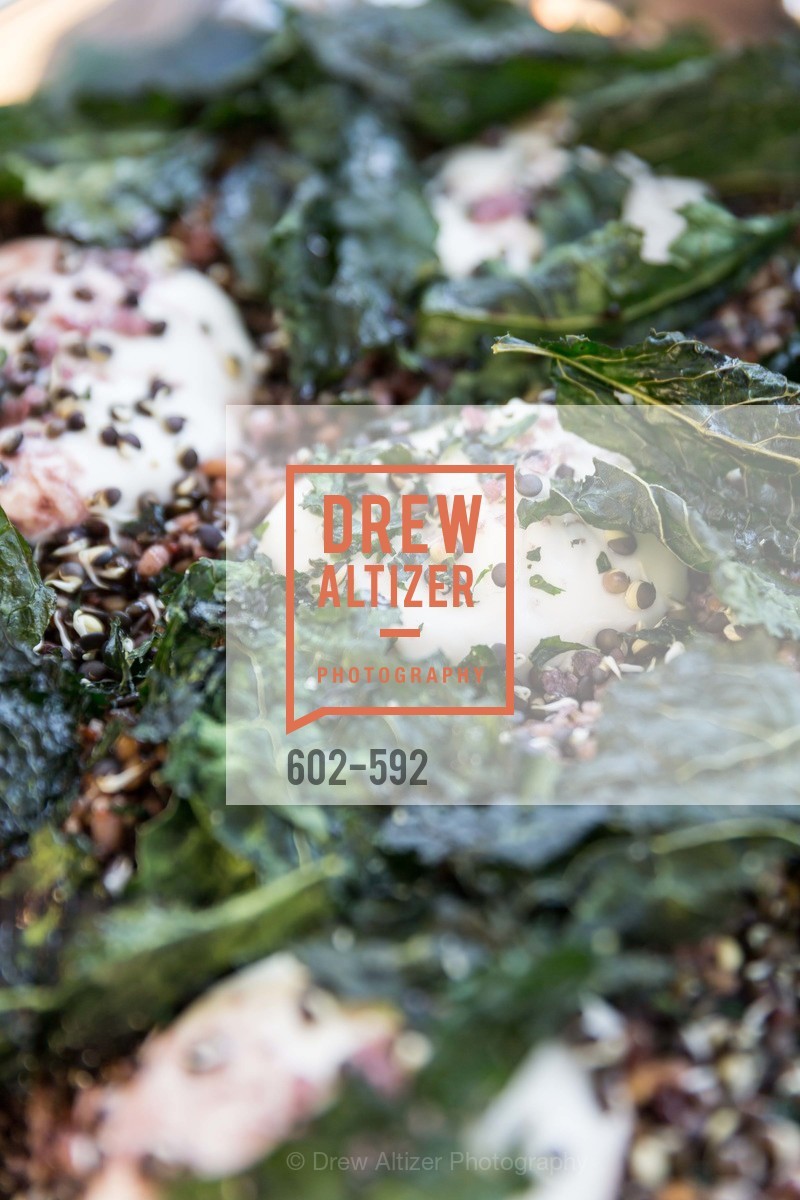 Atmosphere, WILLIAMS-SONOMA Cochon BBQ Celebration, US, October 3rd, 2014,Drew Altizer, Drew Altizer Photography, full-service agency, private events, San Francisco photographer, photographer california