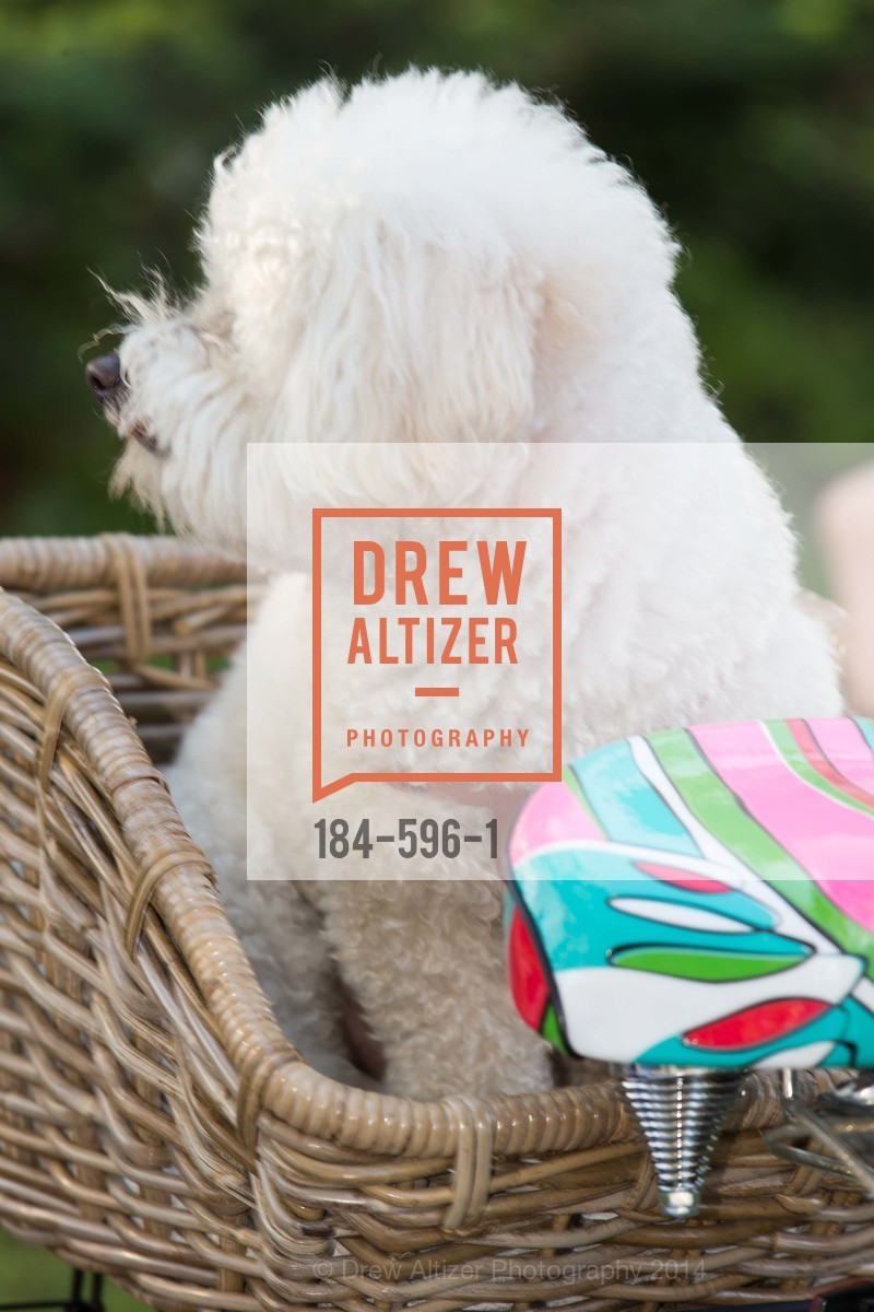 Atmosphere, WILLIAMS-SONOMA Grand Re-Opening Breakfast, October 5th, 2014, Photo,Drew Altizer, Drew Altizer Photography, full-service agency, private events, San Francisco photographer, photographer california