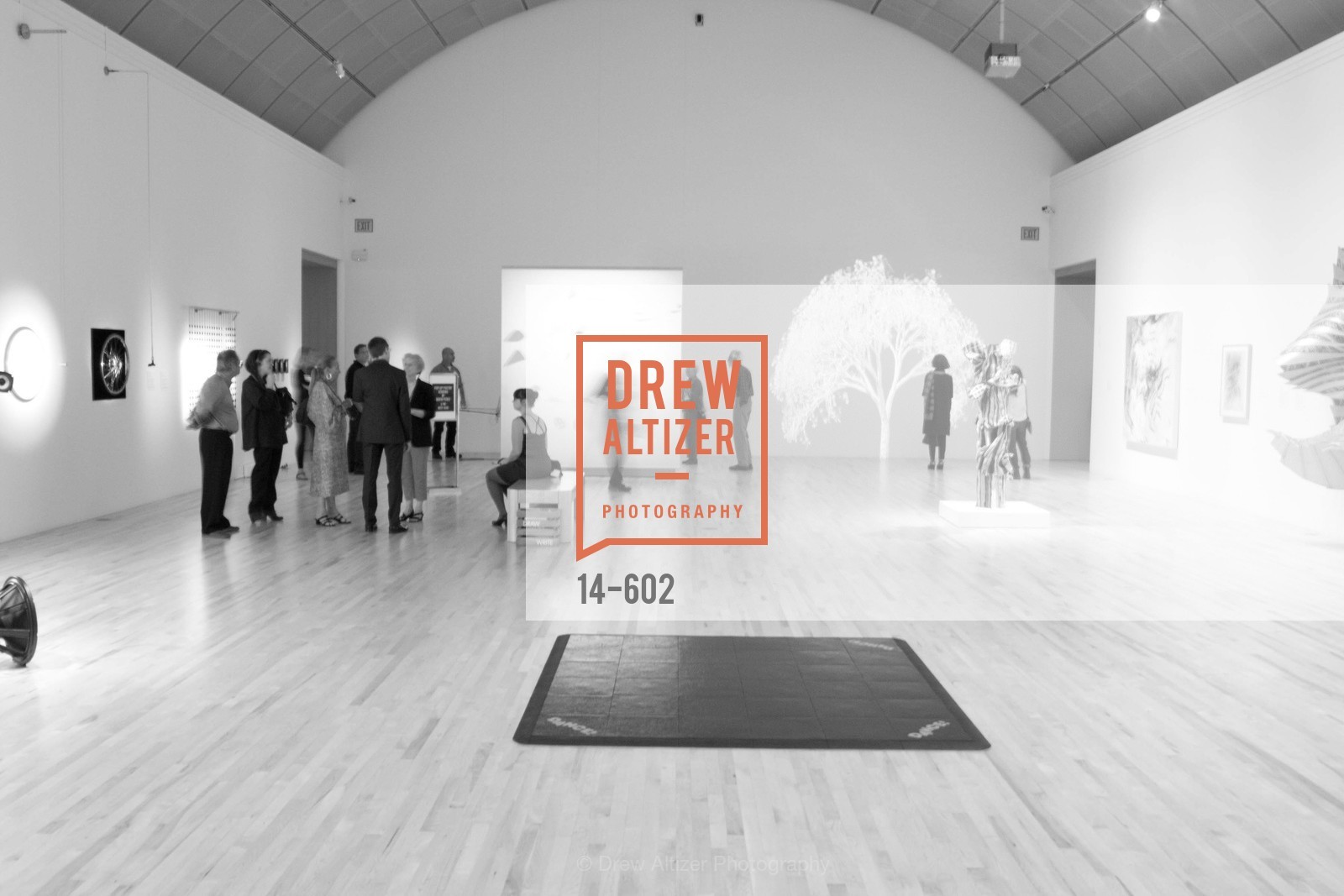 Atmosphere, SAN JOSE MUSEUM OF ART Fall Reception Opening, US, October 9th, 2014,Drew Altizer, Drew Altizer Photography, full-service agency, private events, San Francisco photographer, photographer california