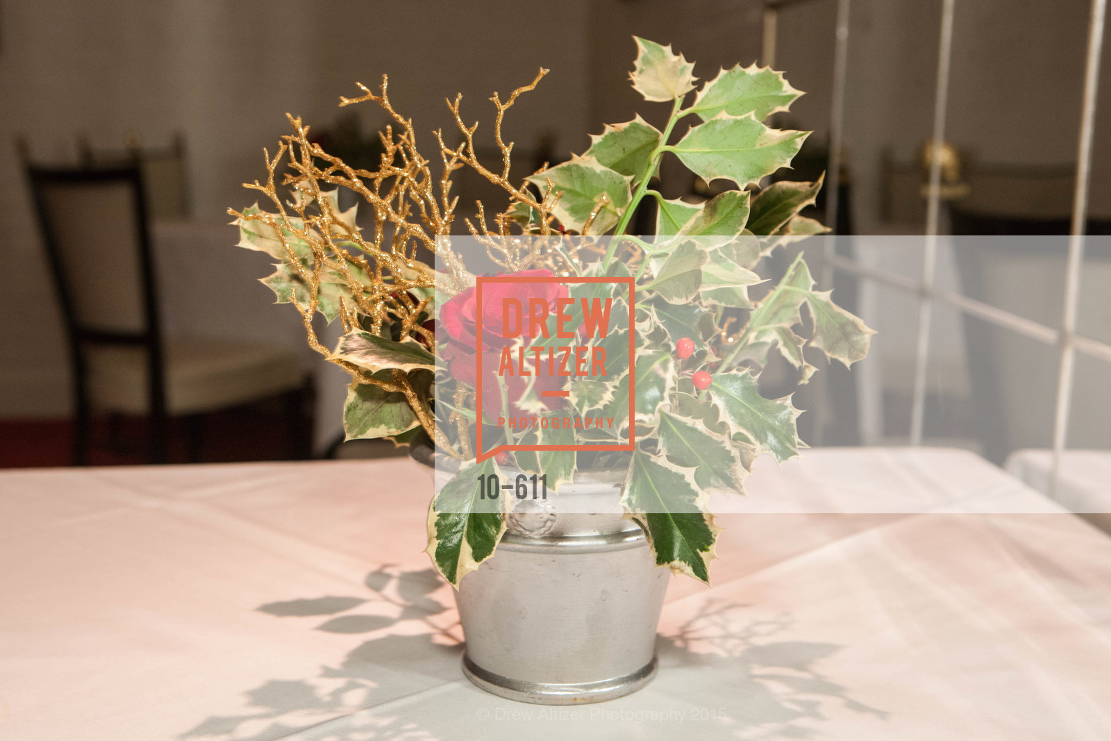 Atmosphere, San Francisco Ballet Auxiliary's Gala Launch party hosted by La Perla., VILLA TAVERA. 27 HOTALING PLACE, December 1st, 2015, Photo #10-611 Atmosphere, Photo #10-611