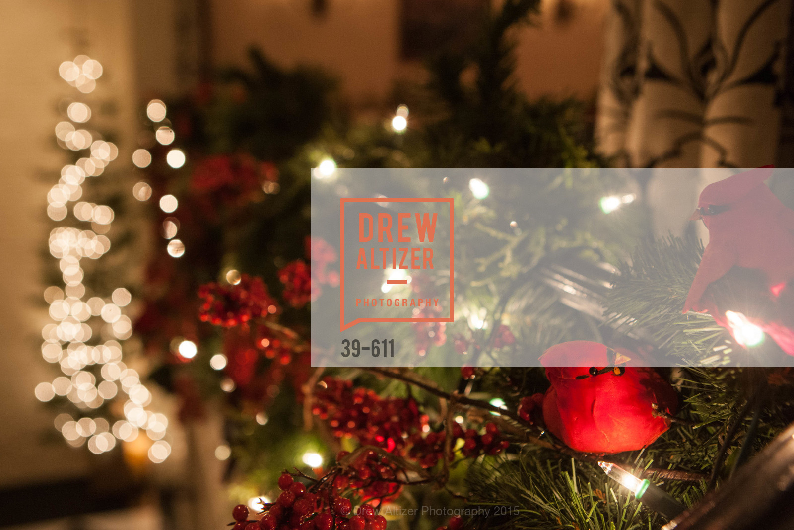Atmosphere, San Francisco Ballet Auxiliary's Gala Launch party hosted by La Perla., VILLA TAVERA. 27 HOTALING PLACE, December 1st, 2015, Photo #39-611 Atmosphere, Photo #39-611