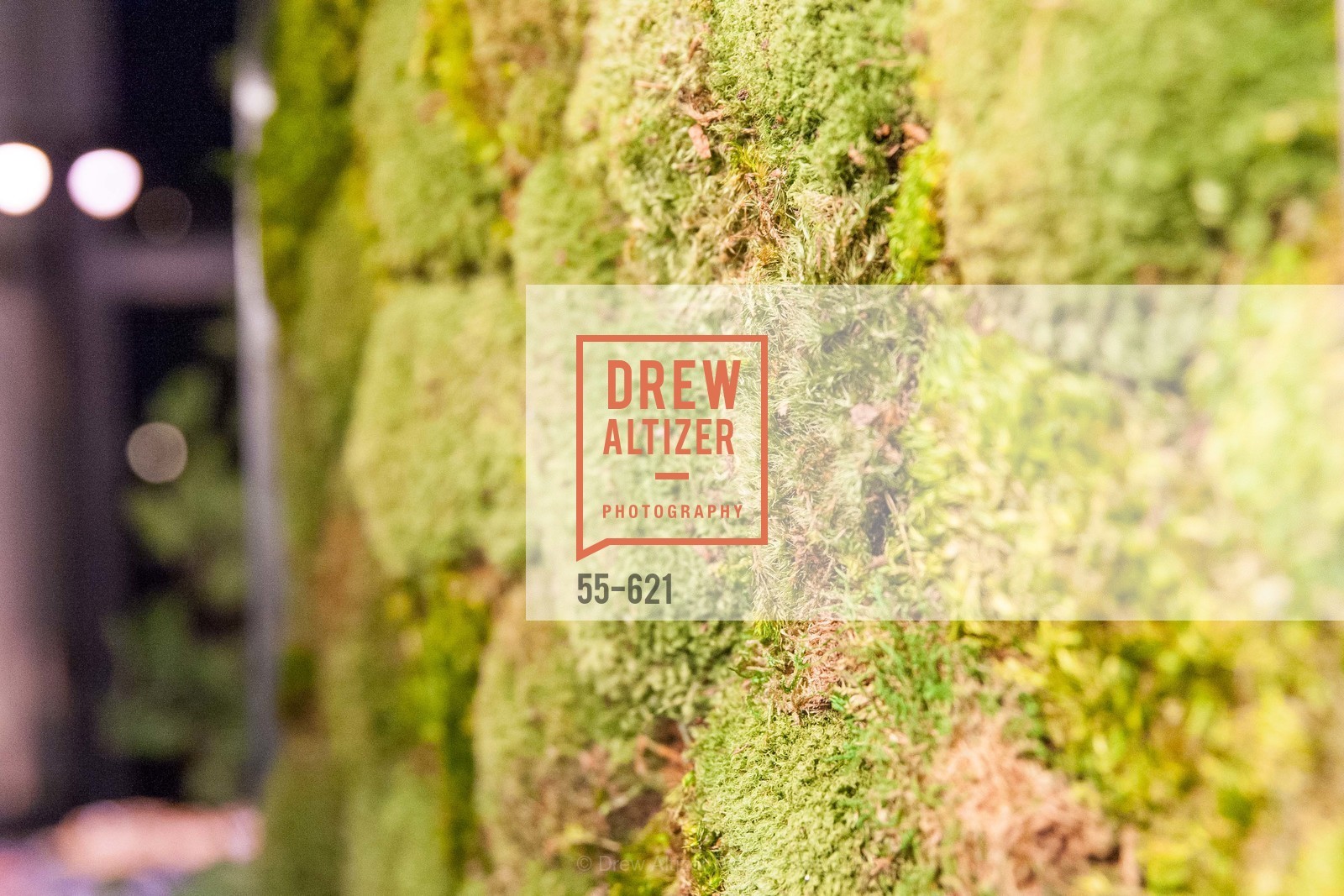 Atmosphere, Children of Shelters' Jingle and Mingle, Golden Gate Club. 135 Fisher Loop, December 3rd, 2015,Drew Altizer, Drew Altizer Photography, full-service event agency, private events, San Francisco photographer, photographer California