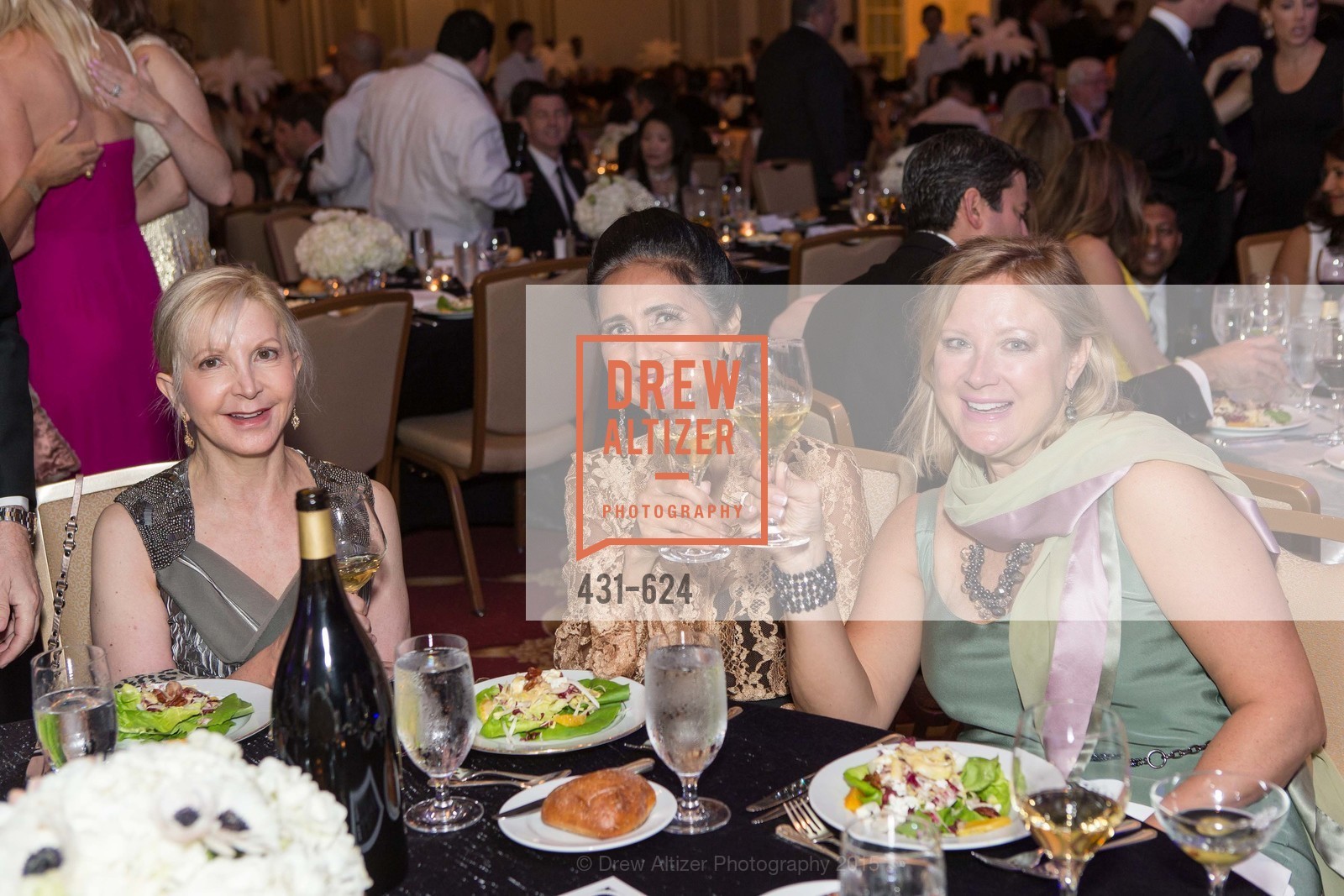 Karen Gramling, 2015 Raphael House Gala