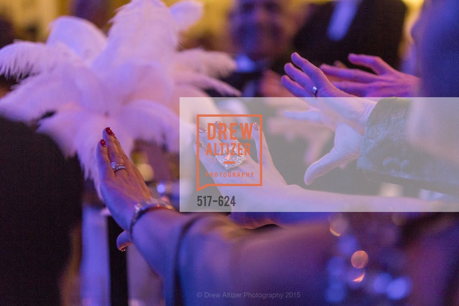 Atmosphere, 2015 Raphael House Gala