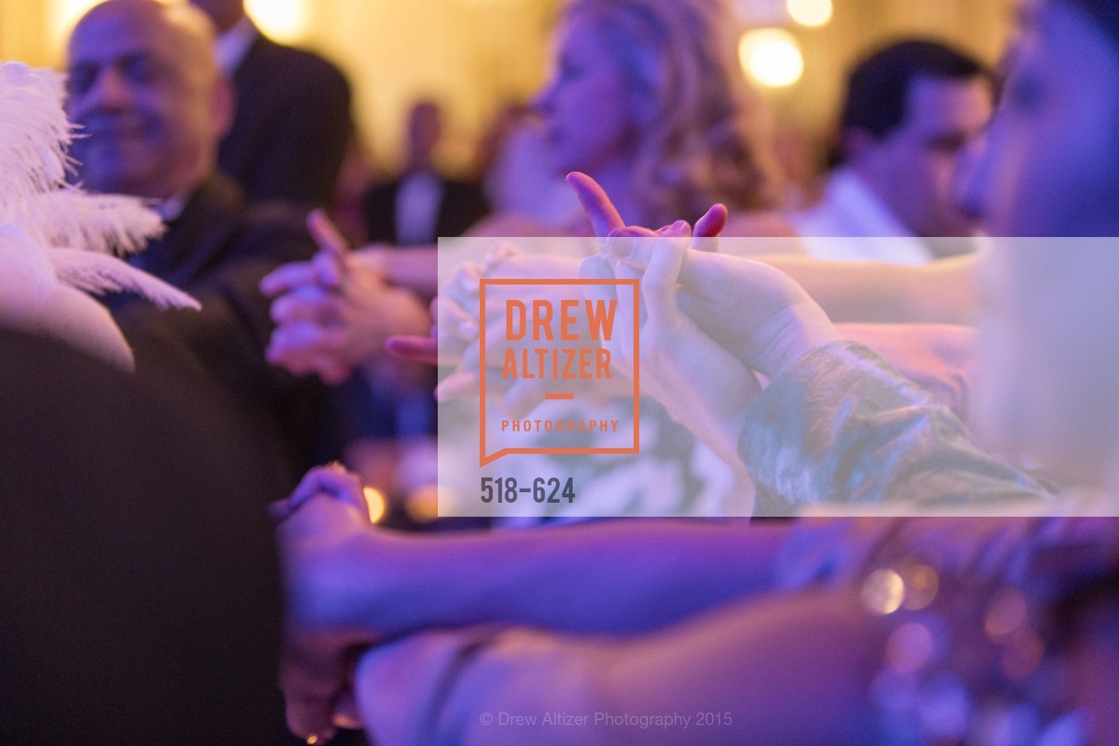 Atmosphere, 2015 Raphael House Gala