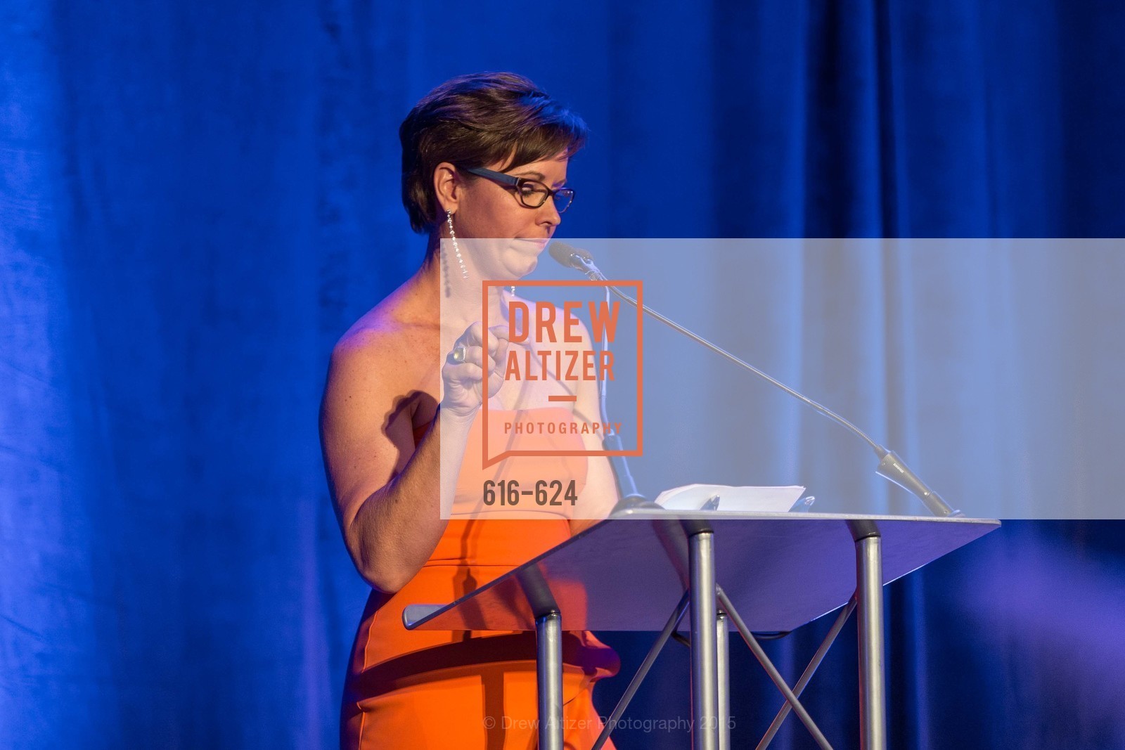 Kate Smith, 2015 Raphael House Gala