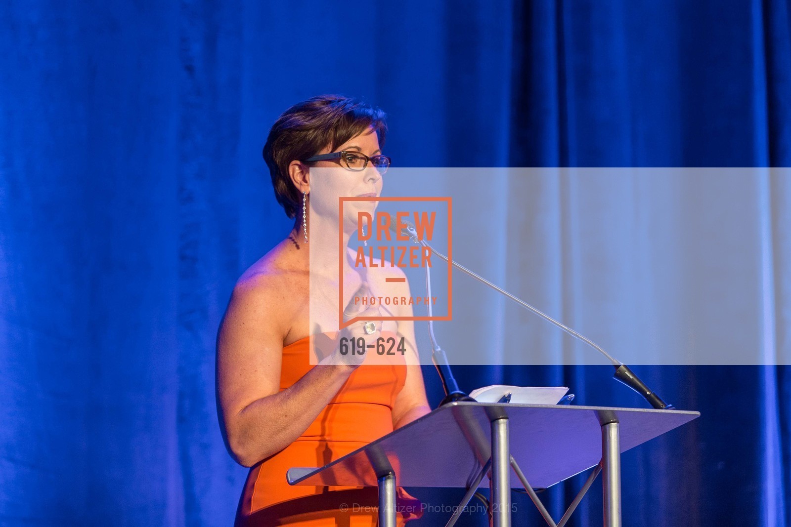 Kate Smith, 2015 Raphael House Gala