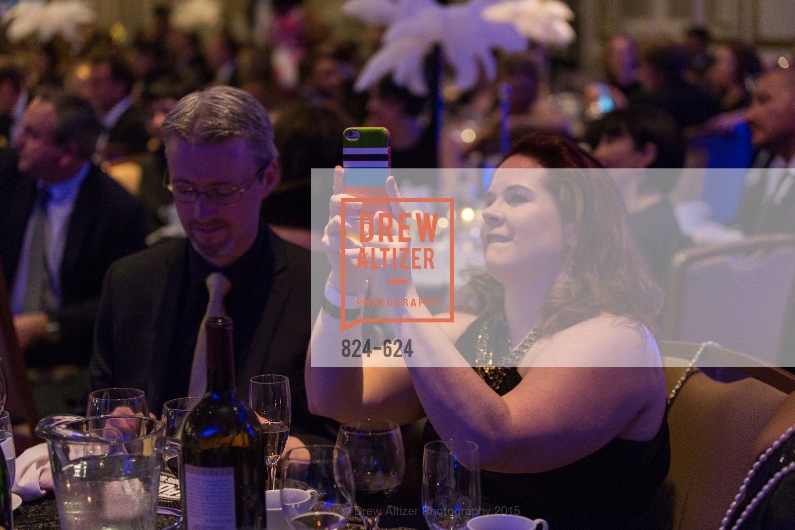 Erin Lampe, 2015 Raphael House Gala
