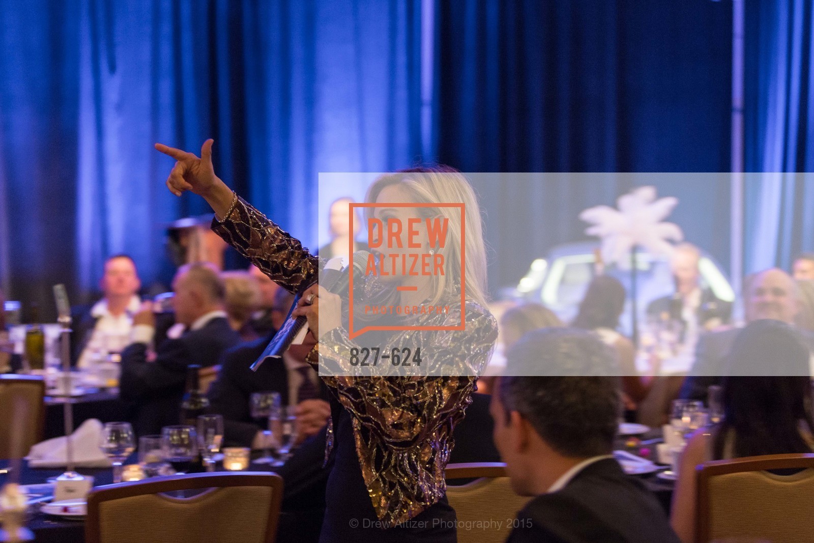 Abra Annes, 2015 Raphael House Gala