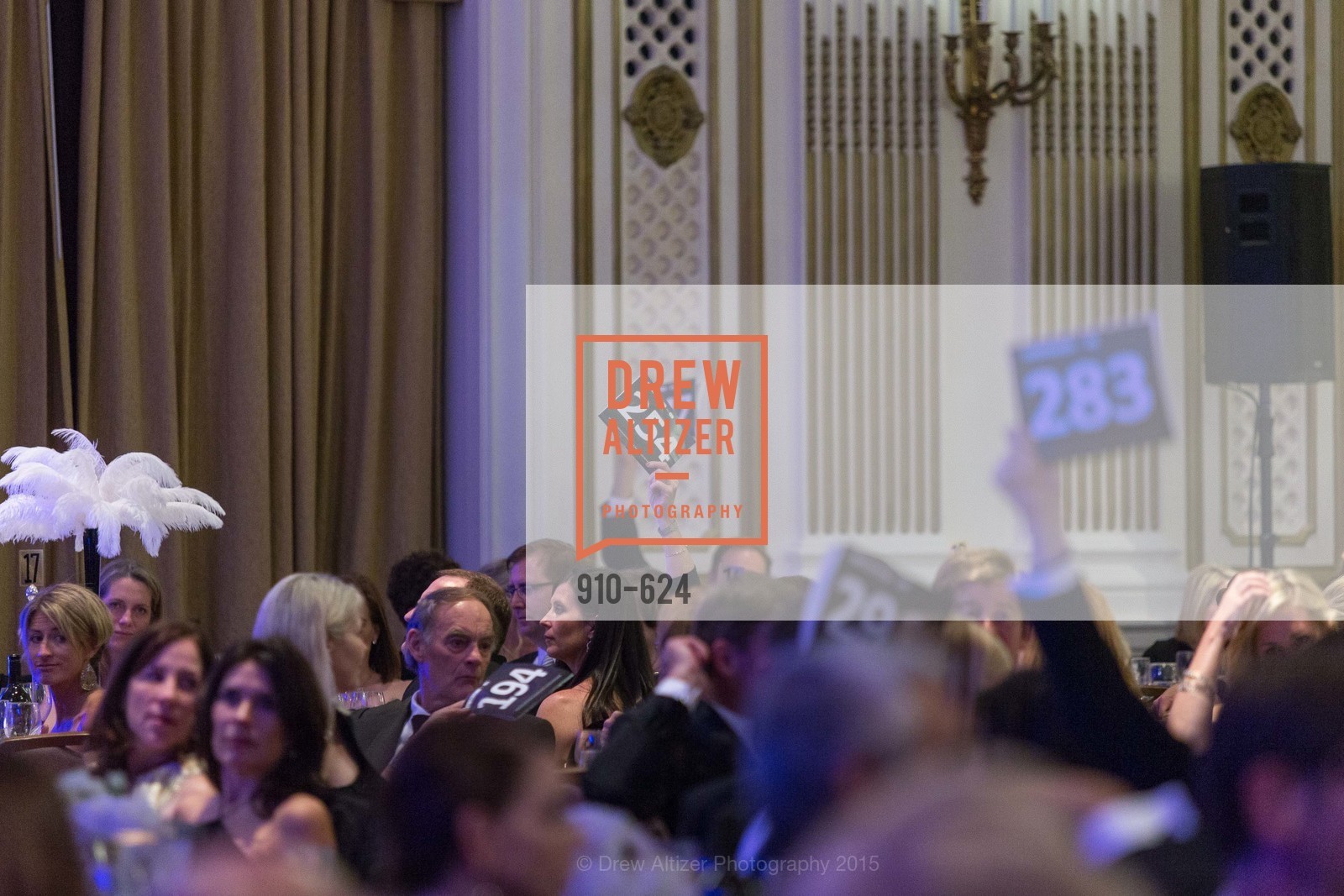 Atmosphere, 2015 Raphael House Gala