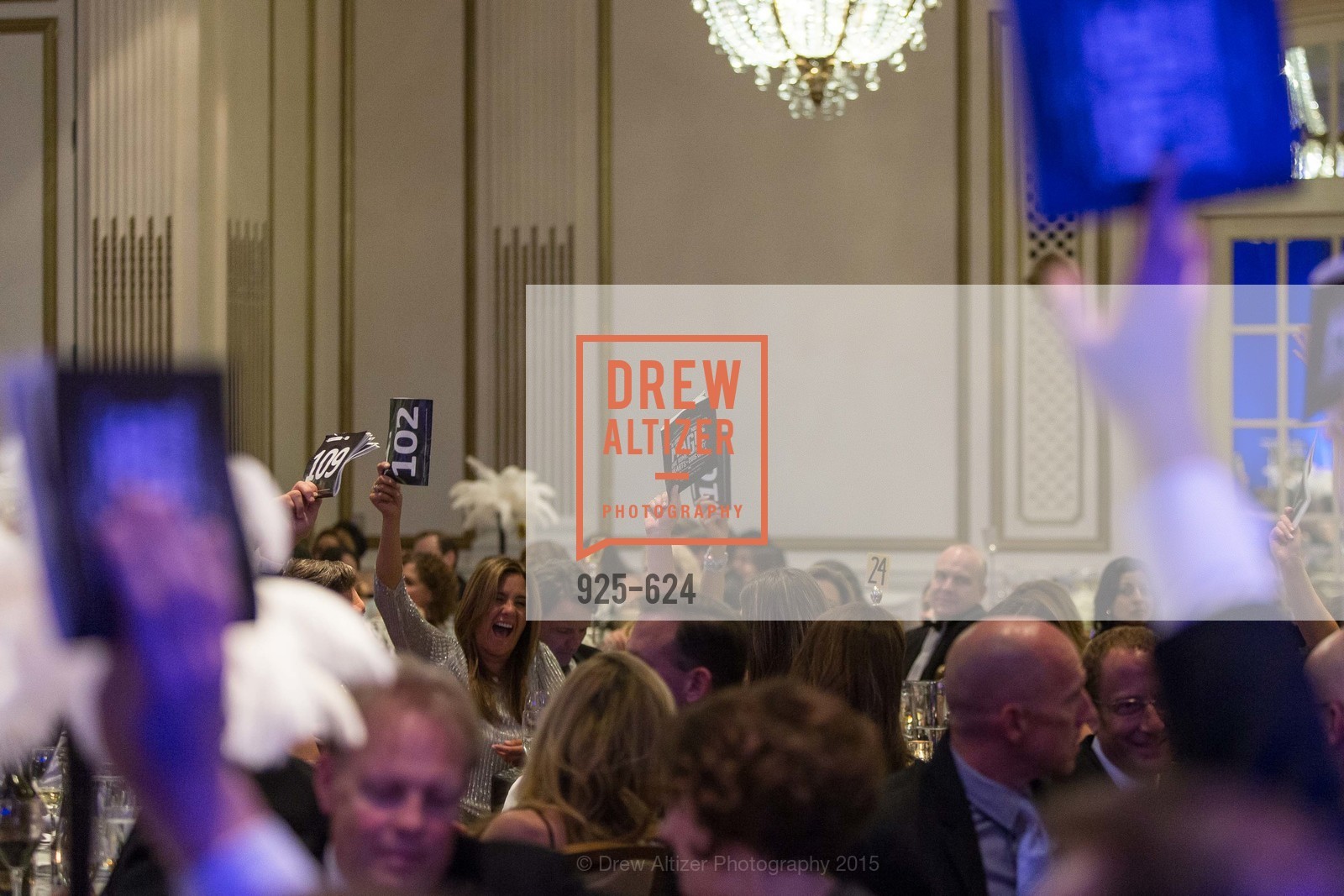 Atmosphere, 2015 Raphael House Gala