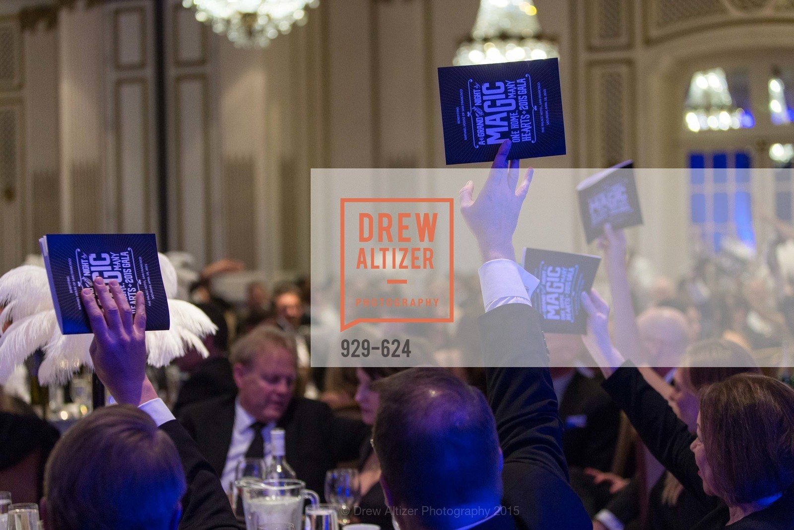 Atmosphere, 2015 Raphael House Gala