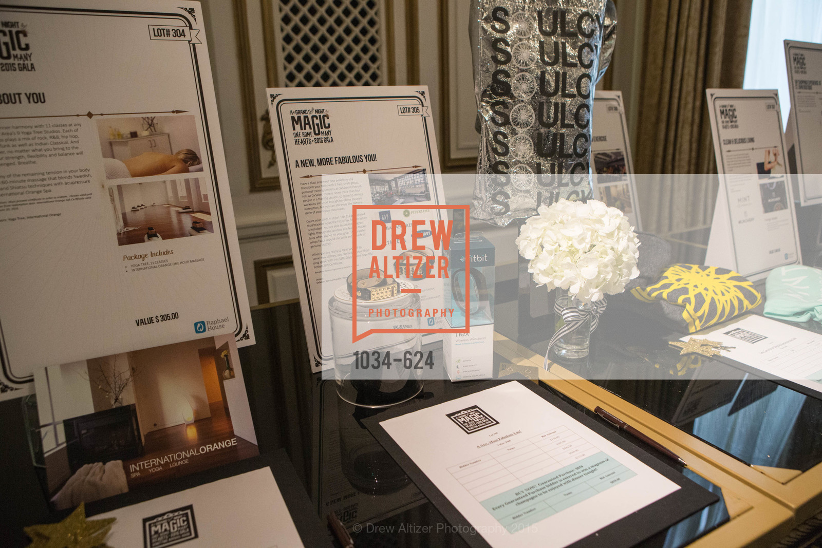 Atmosphere, 2015 Raphael House Gala