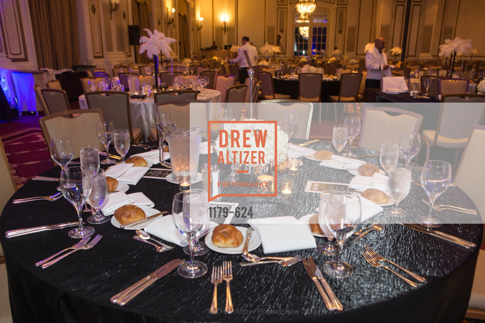 Atmosphere, 2015 Raphael House Gala