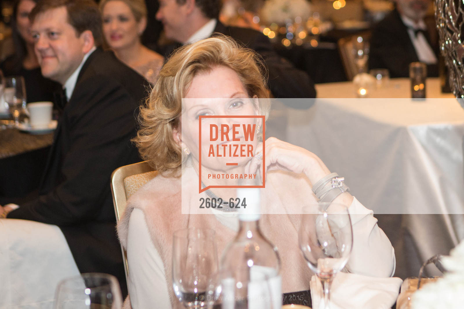 Extras, 2015 Raphael House Gala