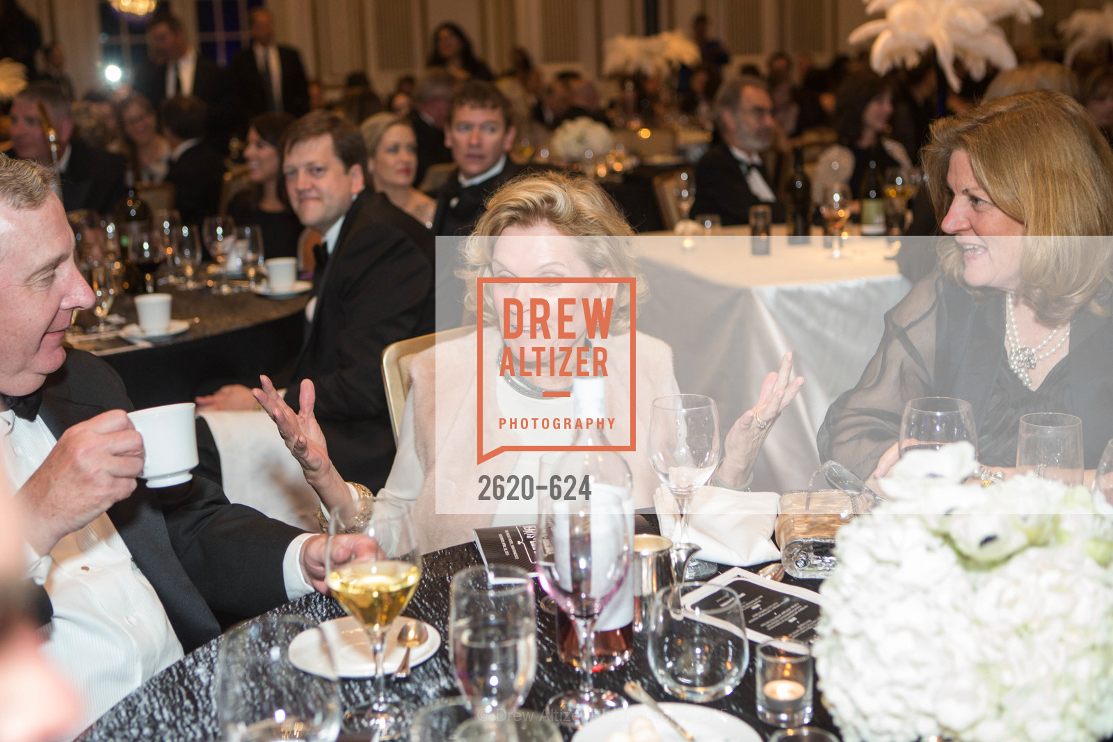 Extras, 2015 Raphael House Gala