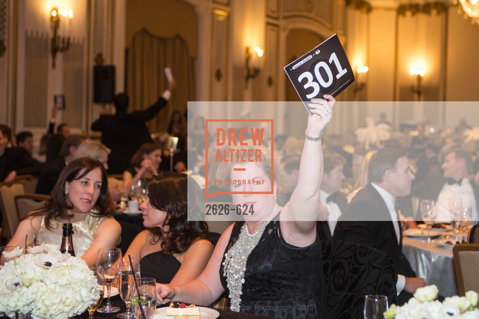 Jennifer Megan, 2015 Raphael House Gala