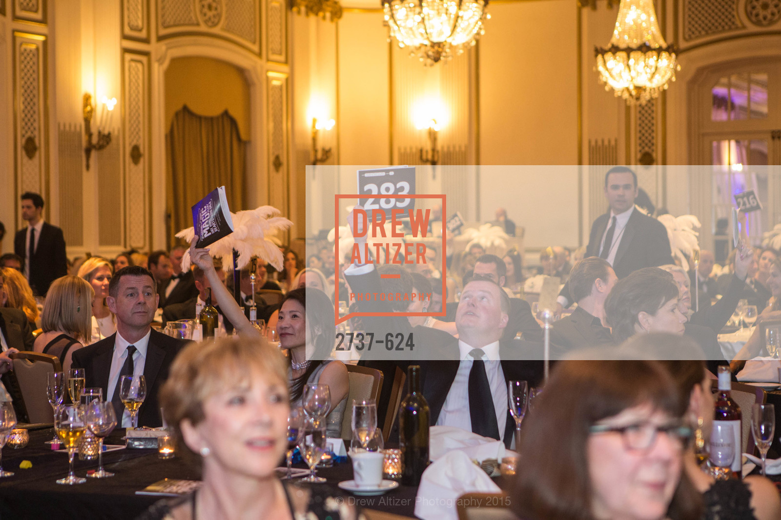 Atmosphere, 2015 Raphael House Gala