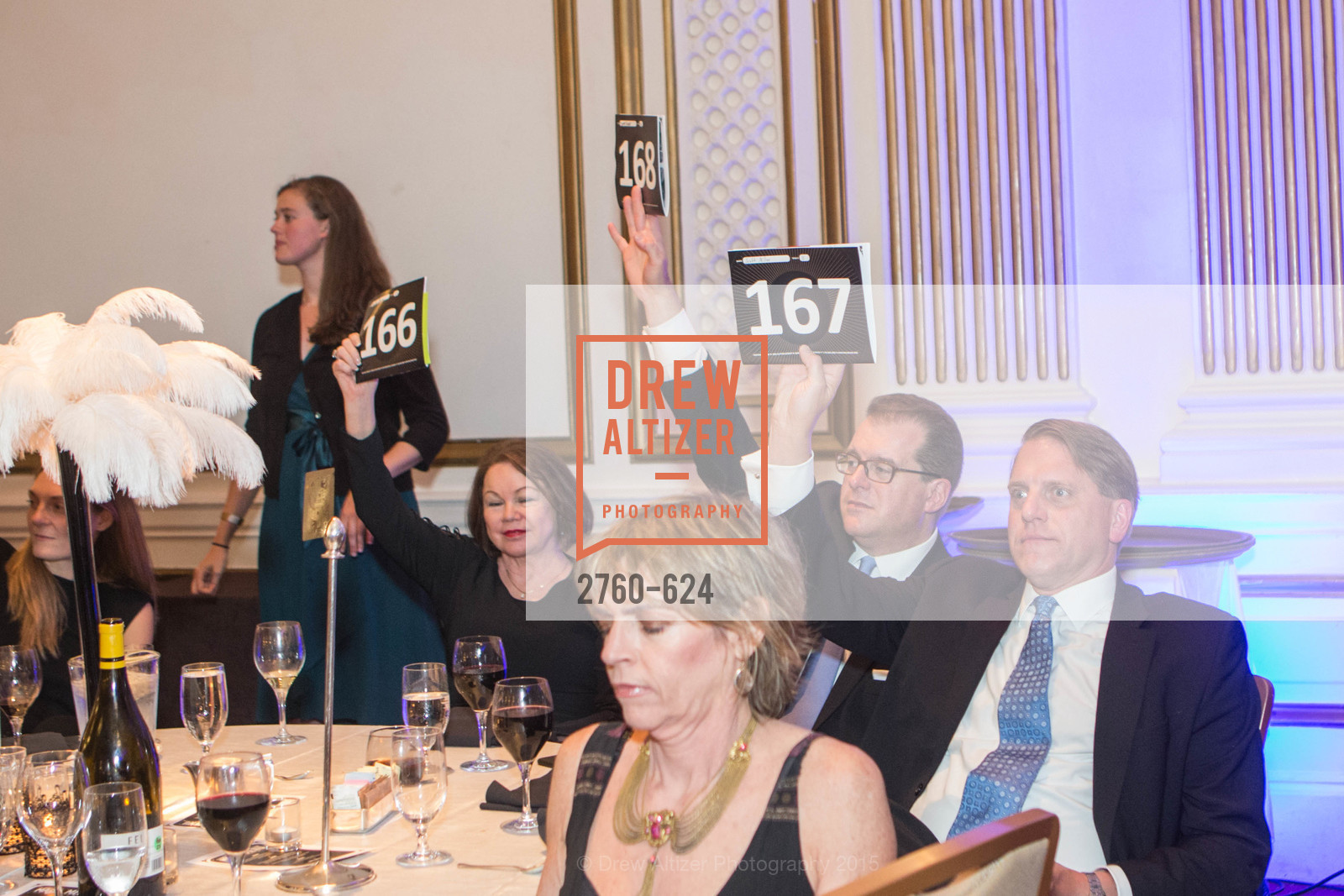 Atmosphere, 2015 Raphael House Gala