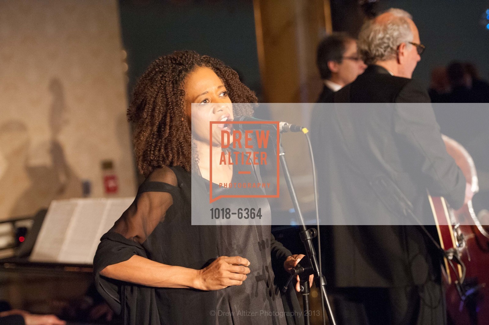 Performance By Paula West, 25th Anniversary Holiday HOB NOB ON THE HILL, US, December 6th, 2013
