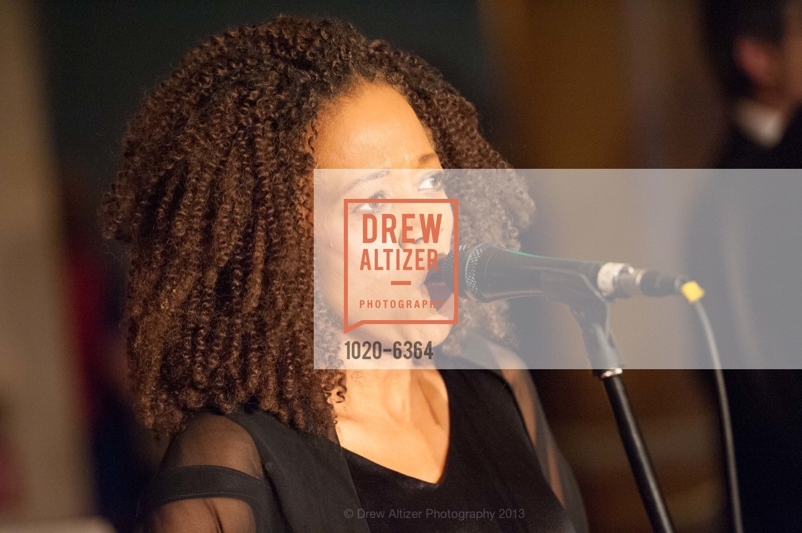 Performance By Paula West, 25th Anniversary Holiday HOB NOB ON THE HILL, US, December 6th, 2013,Drew Altizer, Drew Altizer Photography, full-service agency, private events, San Francisco photographer, photographer california