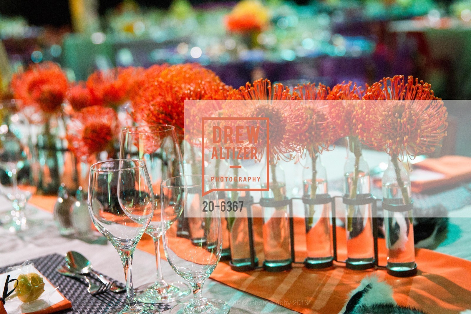 Atmosphere, ZooFest 2013 Hard Hat & Tails, US, May 11th, 2013,Drew Altizer, Drew Altizer Photography, full-service agency, private events, San Francisco photographer, photographer california