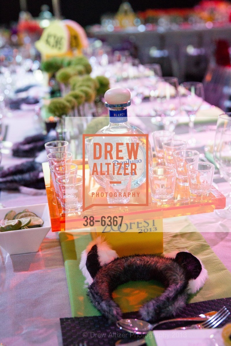 Atmosphere, ZooFest 2013 Hard Hat & Tails, US, May 11th, 2013,Drew Altizer, Drew Altizer Photography, full-service agency, private events, San Francisco photographer, photographer california