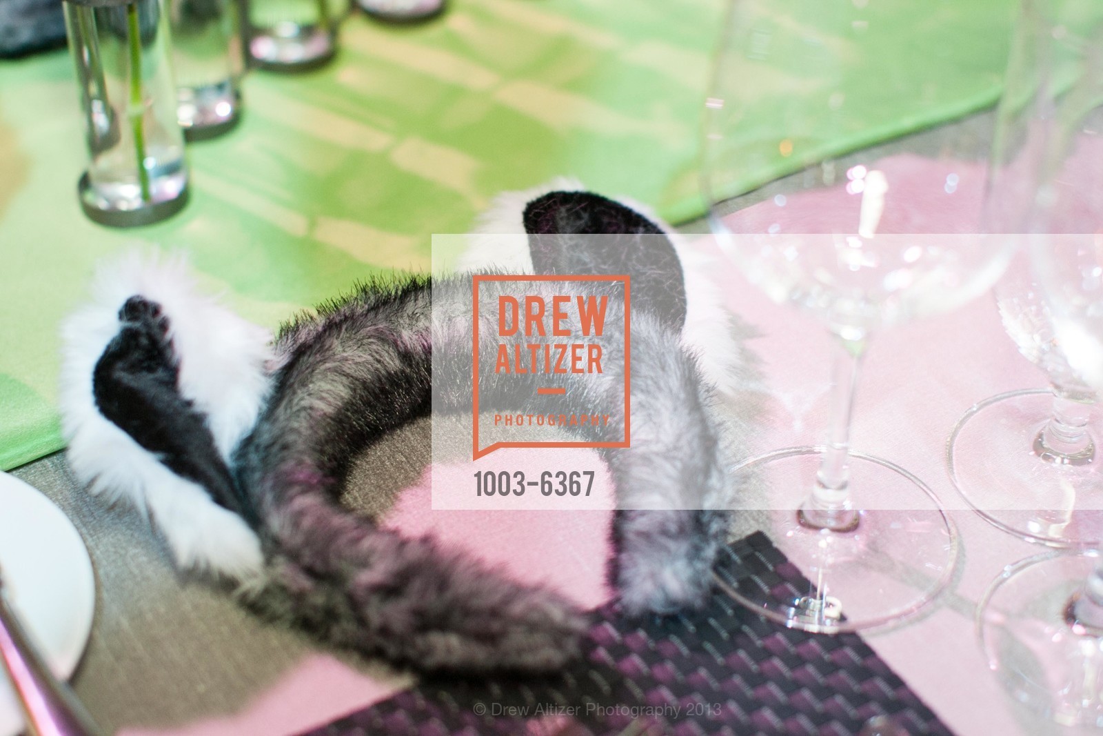 Atmosphere, ZooFest 2013 Hard Hat & Tails, US, May 11th, 2013,Drew Altizer, Drew Altizer Photography, full-service agency, private events, San Francisco photographer, photographer california
