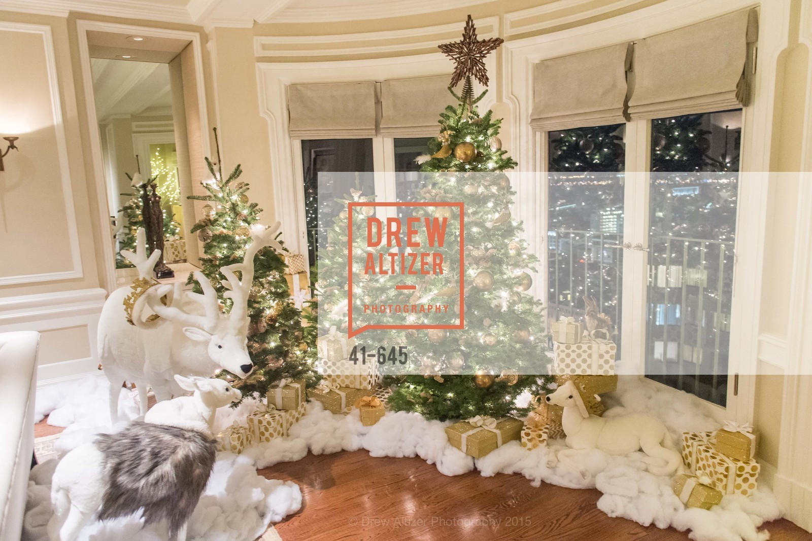 Atmosphere, Atherton Holiday Party, Private Residence, December 12th, 2015,Drew Altizer, Drew Altizer Photography, full-service agency, private events, San Francisco photographer, photographer california
