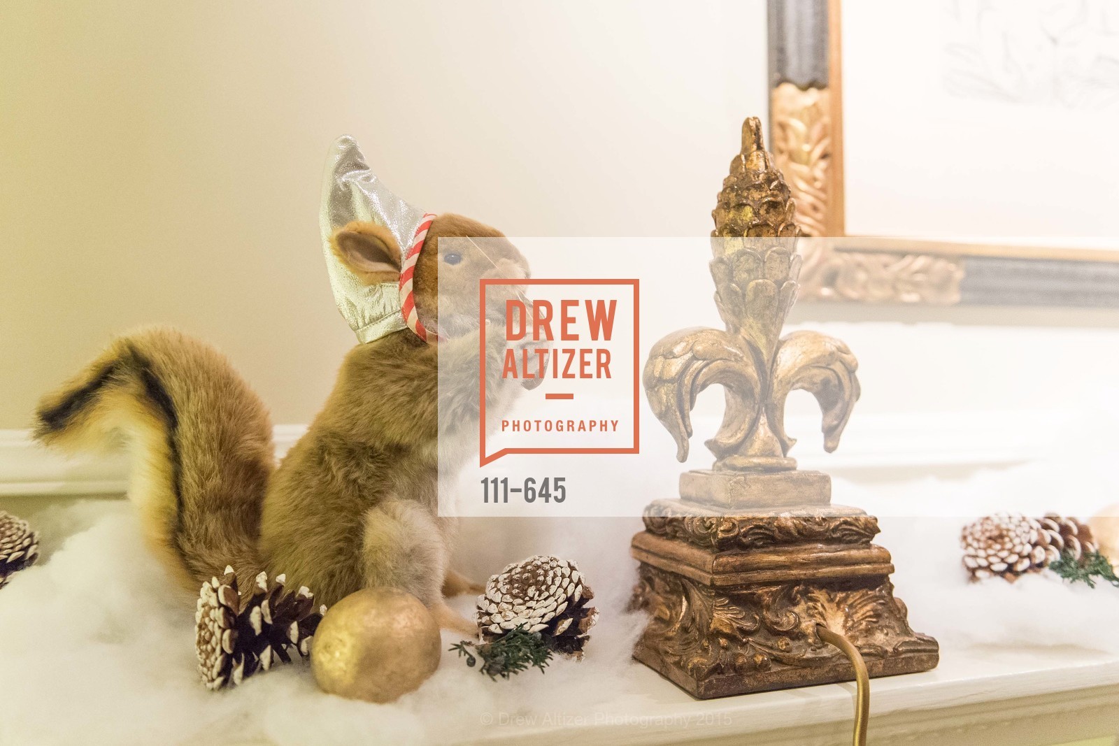 Atmosphere, Atherton Holiday Party, Private Residence, December 12th, 2015,Drew Altizer, Drew Altizer Photography, full-service agency, private events, San Francisco photographer, photographer california