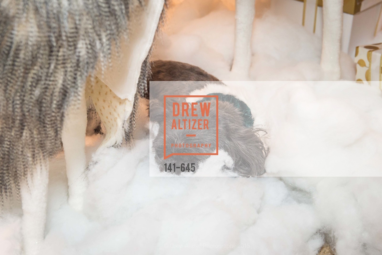 Atmosphere, Atherton Holiday Party, Private Residence, December 12th, 2015,Drew Altizer, Drew Altizer Photography, full-service agency, private events, San Francisco photographer, photographer california