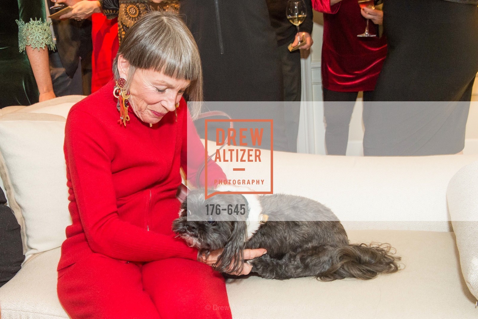 Ann Silbo, Atherton Holiday Party, Private Residence, December 12th, 2015,Drew Altizer, Drew Altizer Photography, full-service agency, private events, San Francisco photographer, photographer california