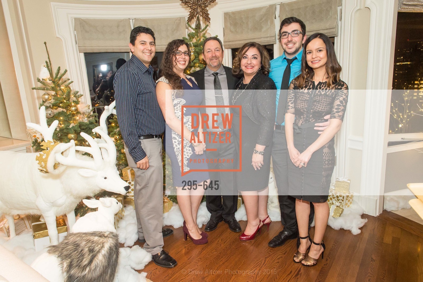 Danny Bauer, Shanna Atherton, Donny Atherton, Susan Atherton, Tracy Atherton, Evan Atherton, Sargam Atherton, Atherton Holiday Party, Private Residence, December 12th, 2015,Drew Altizer, Drew Altizer Photography, full-service agency, private events, San Francisco photographer, photographer california