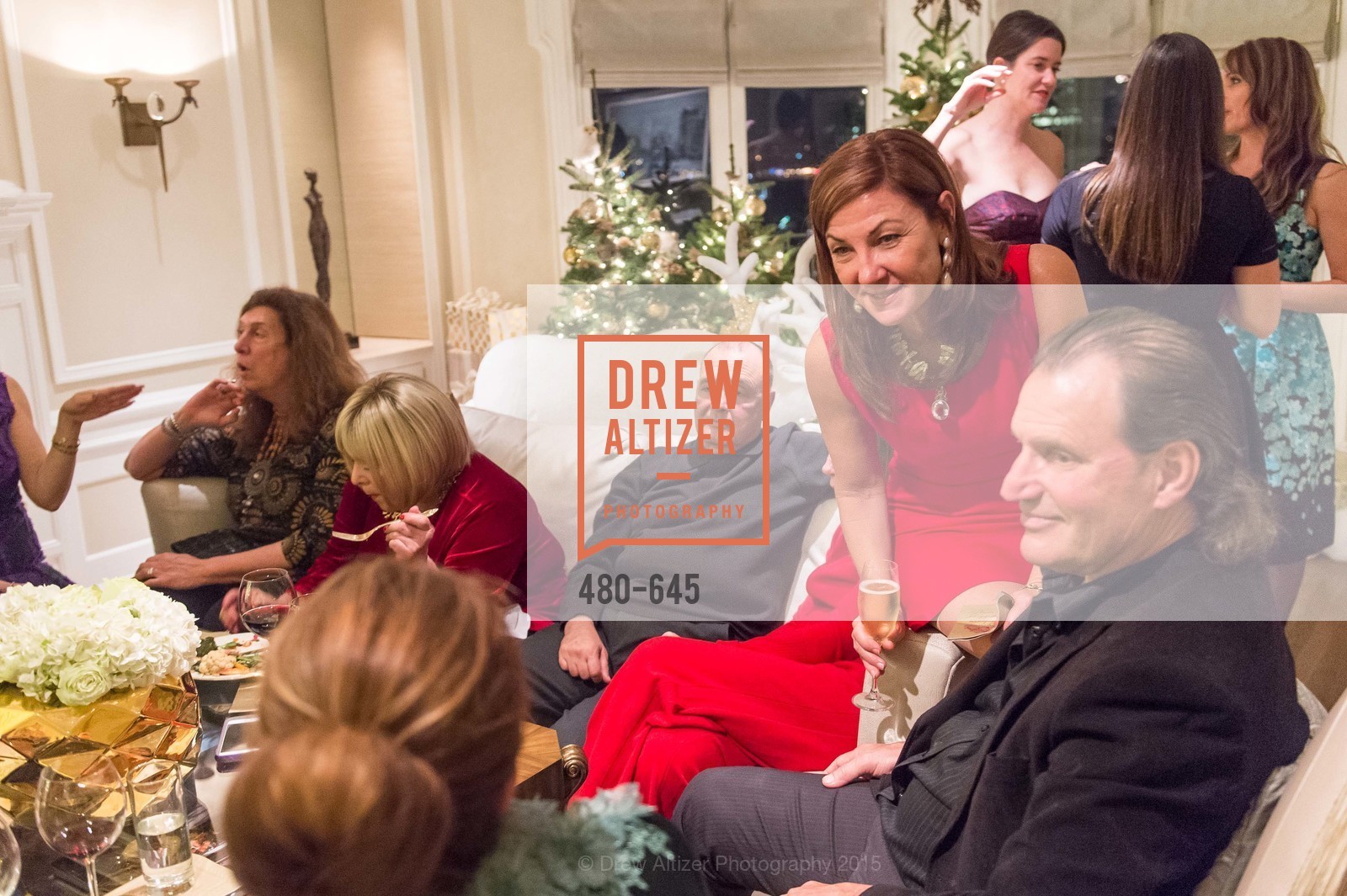 Susie Damilano, Bill English, Atherton Holiday Party, Private Residence, December 12th, 2015,Drew Altizer, Drew Altizer Photography, full-service agency, private events, San Francisco photographer, photographer california