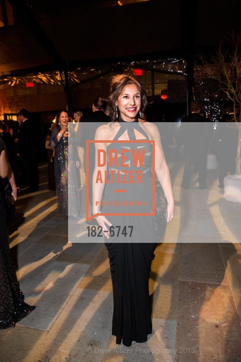 Alisa Goldblatt, 10th Anniversary MID-WINTER GALA Benefiting the Fine Arts Museums of San Francisco, US, March 9th, 2013, Photo #182-6747 Alisa Goldblatt, Photo #182-6747