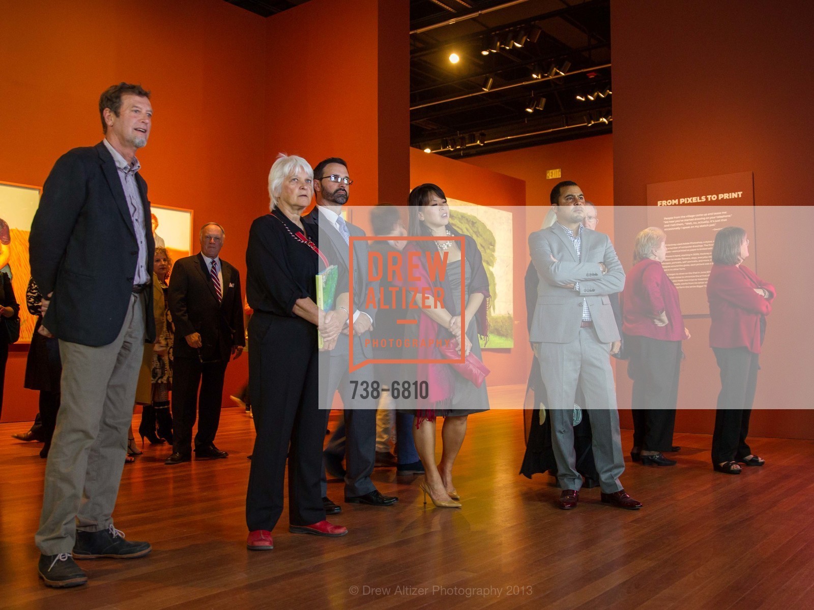 Atmosphere, DAVID HOCKNEY: A Bigger Exhibition, A Bigger Opening, US, October 24th, 2013, Photo #738-6810 Atmosphere, Photo #738-6810