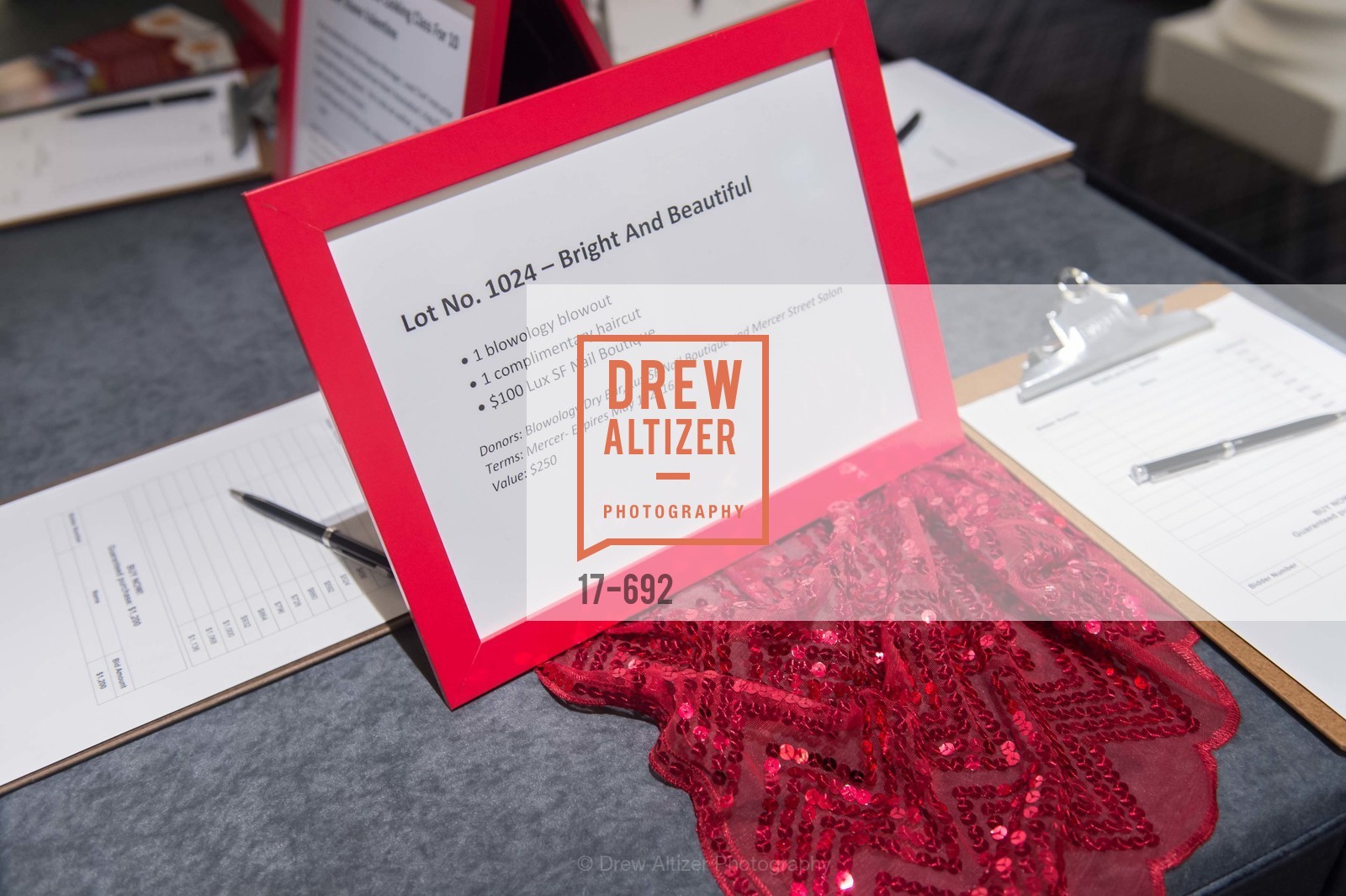Atmosphere, 2015 GoRed for Women Luncheon, US, May 2nd, 2015,Drew Altizer, Drew Altizer Photography, full-service agency, private events, San Francisco photographer, photographer california