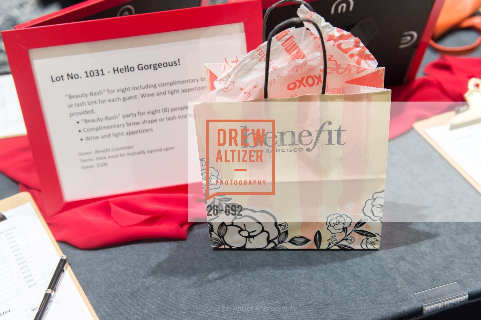 Atmosphere, 2015 GoRed for Women Luncheon, US, May 2nd, 2015,Drew Altizer, Drew Altizer Photography, full-service agency, private events, San Francisco photographer, photographer california