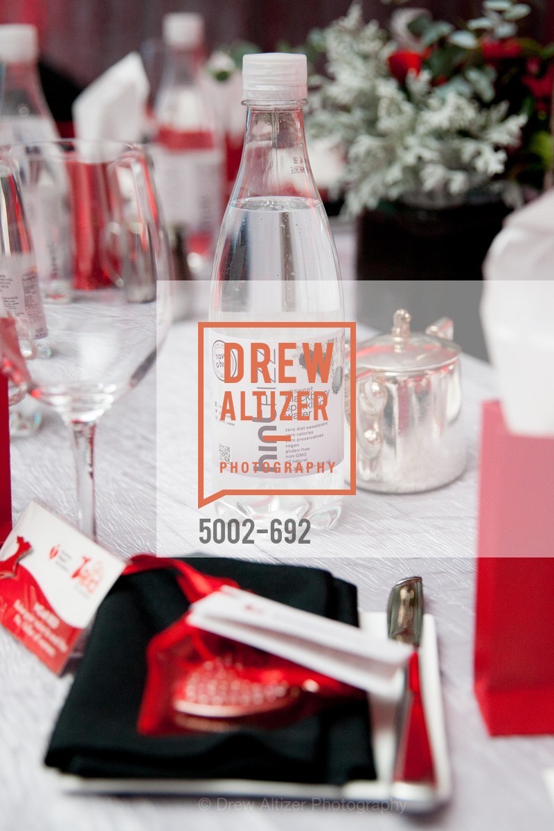 Atmosphere, 2015 GoRed for Women Luncheon, US, May 2nd, 2015,Drew Altizer, Drew Altizer Photography, full-service agency, private events, San Francisco photographer, photographer california