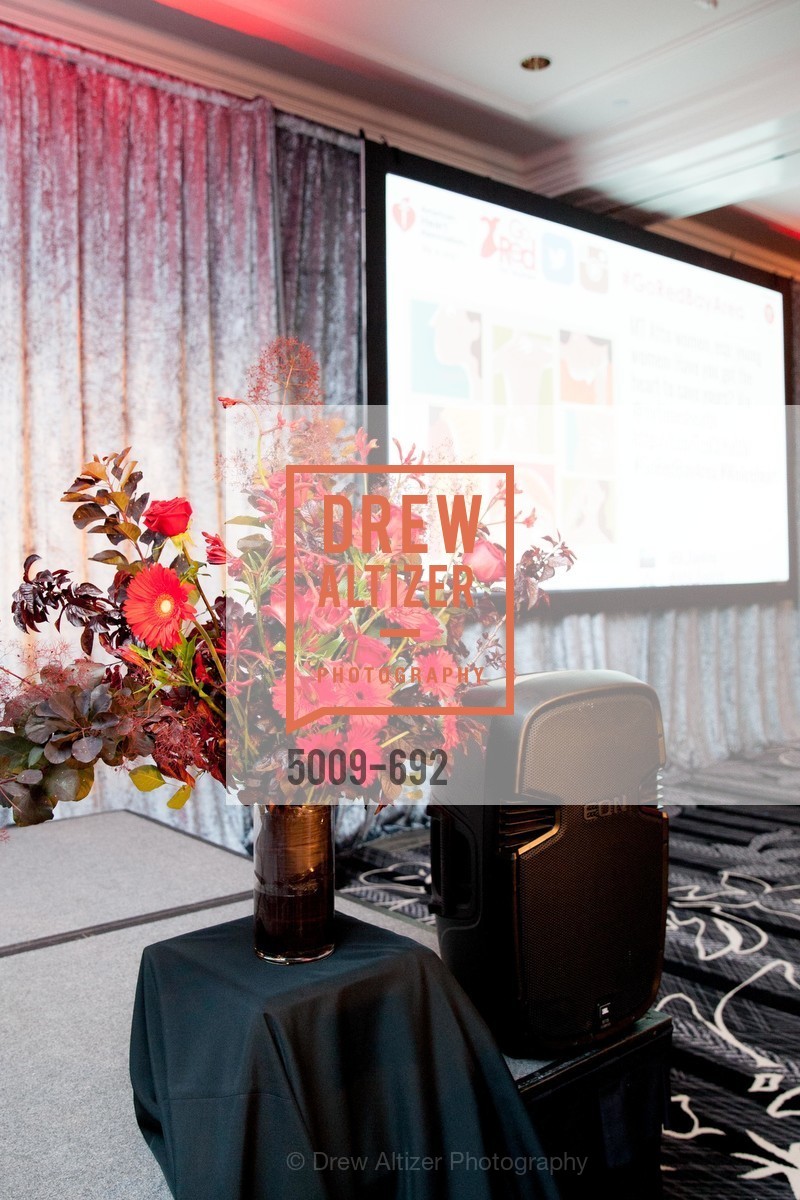 Atmosphere, 2015 GoRed for Women Luncheon, US, May 2nd, 2015,Drew Altizer, Drew Altizer Photography, full-service agency, private events, San Francisco photographer, photographer california