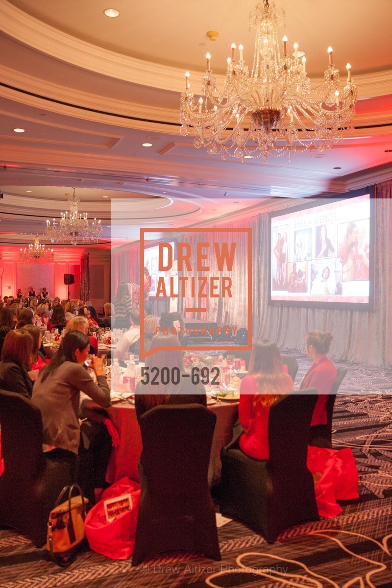 Atmosphere, 2015 GoRed for Women Luncheon, US, May 2nd, 2015,Drew Altizer, Drew Altizer Photography, full-service agency, private events, San Francisco photographer, photographer california