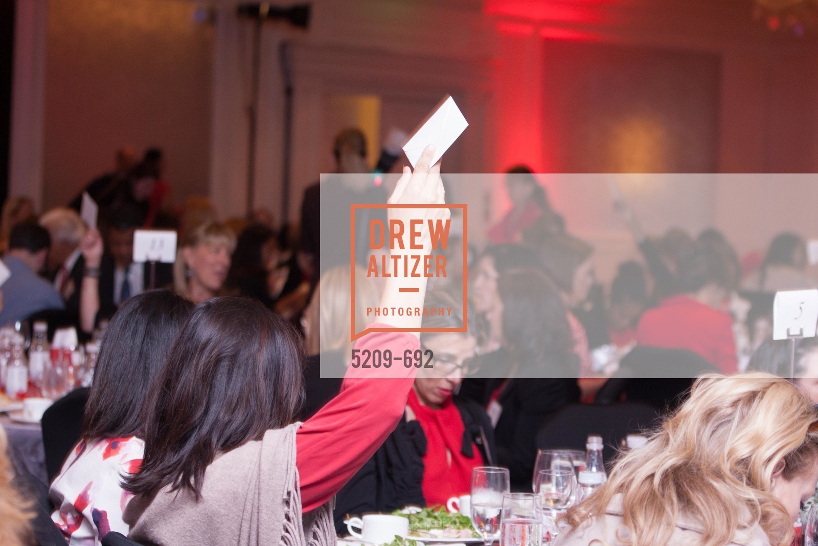 Atmosphere, 2015 GoRed for Women Luncheon, US, May 2nd, 2015,Drew Altizer, Drew Altizer Photography, full-service agency, private events, San Francisco photographer, photographer california