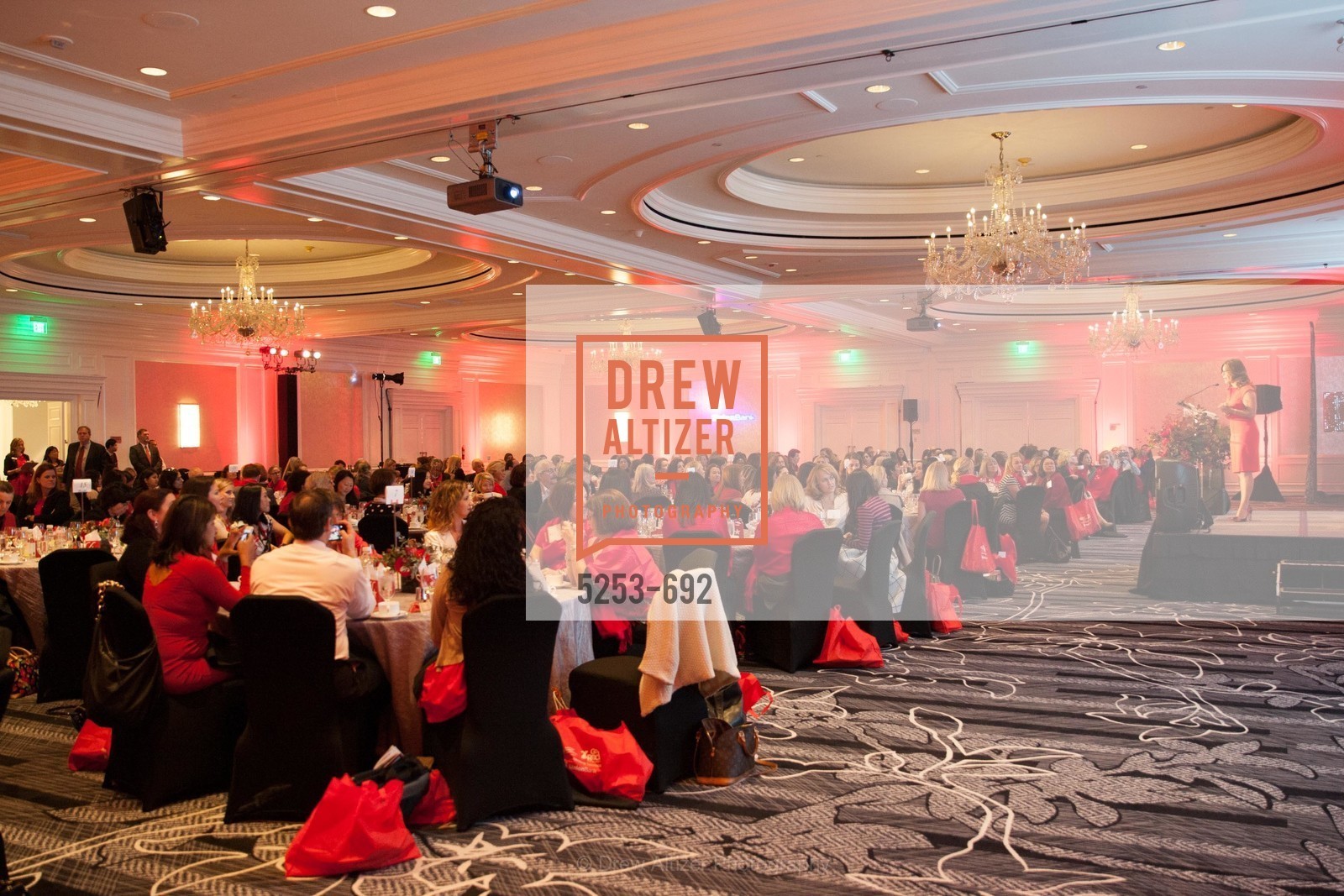 Atmosphere, 2015 GoRed for Women Luncheon, US, May 2nd, 2015,Drew Altizer, Drew Altizer Photography, full-service agency, private events, San Francisco photographer, photographer california