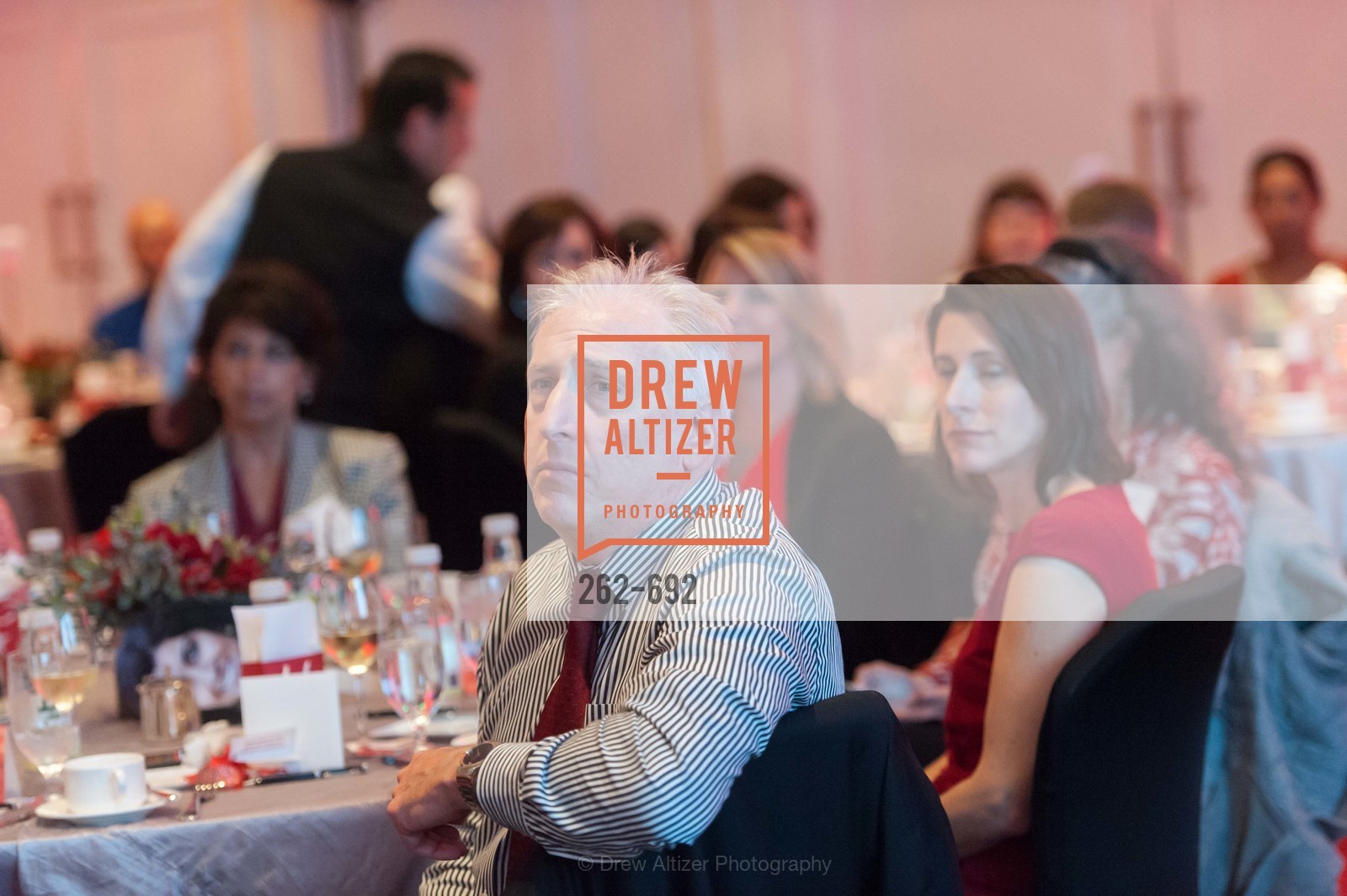 Extras, 2015 GoRed for Women Luncheon, May 2nd, 2015, Photo,Drew Altizer, Drew Altizer Photography, full-service agency, private events, San Francisco photographer, photographer california