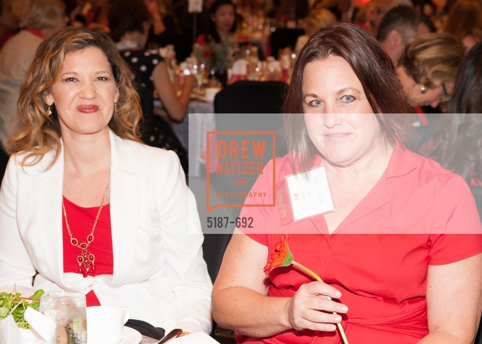 Liz Tuan, 2015 GoRed for Women Luncheon, US, May 2nd, 2015,Drew Altizer, Drew Altizer Photography, full-service agency, private events, San Francisco photographer, photographer california