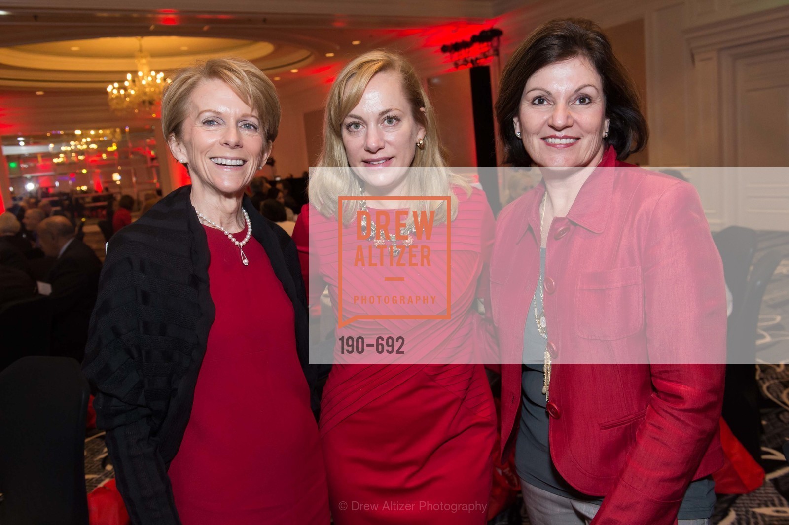 Lisa Fontenot, 2015 GoRed for Women Luncheon, US, May 2nd, 2015, Photo #190-692 Lisa Fontenot, Photo #190-692