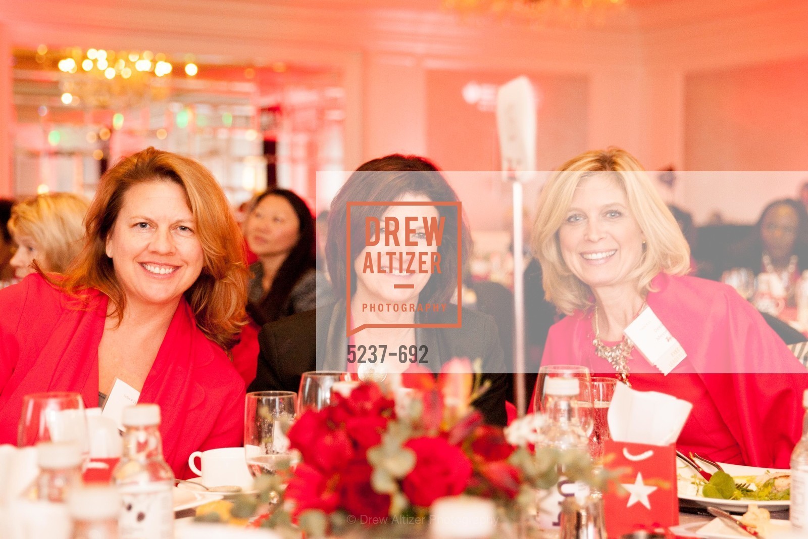 Debbie Messemer, 2015 GoRed for Women Luncheon, US, May 2nd, 2015